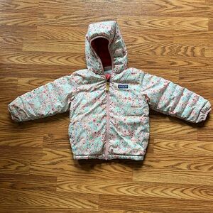 Patagonia Reversible Down Sweater Hoodie